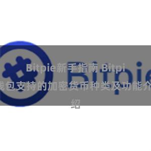 Bitpie新手指南 Bitpie钱包支持的加密货币种类及功能介绍