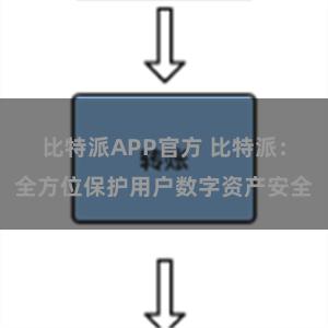 比特派APP官方 比特派：全方位保护用户数字资产安全