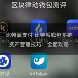 比特派支付 比特派钱包多链资产管理技巧：全面攻略