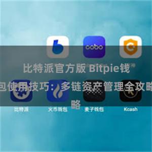 比特派官方版 Bitpie钱包使用技巧：多链资产管理全攻略