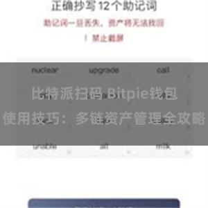 比特派扫码 Bitpie钱包使用技巧：多链资产管理全攻略