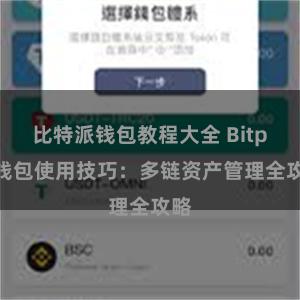 比特派钱包教程大全 Bitpie钱包使用技巧：多链资产管理全攻略