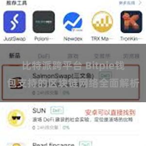 比特派跨平台 Bitpie钱包支持的区块链网络全面解析