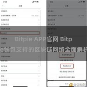 Bitpie APP官网 Bitpie钱包支持的区块链网络全面解析