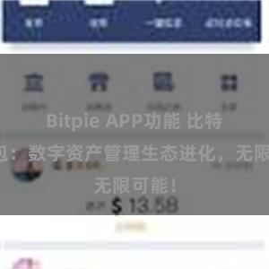 Bitpie APP功能 比特派钱包：数字资产管理生态进化，无限可能！