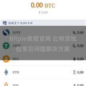 Bitpie教程官网 比特派钱包常见问题解决方案