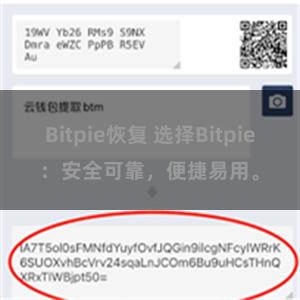 Bitpie恢复 选择Bitpie：安全可靠，便捷易用。