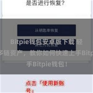 Bitpie钱包安卓版下载 轻松管理多链资产，教你如何快速上手Bitpie钱包！