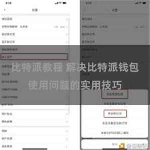 比特派教程 解决比特派钱包使用问题的实用技巧