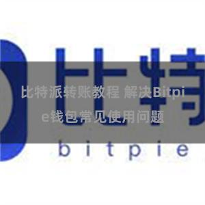 比特派转账教程 解决Bitpie钱包常见使用问题