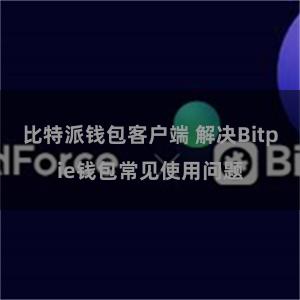 比特派钱包客户端 解决Bitpie钱包常见使用问题