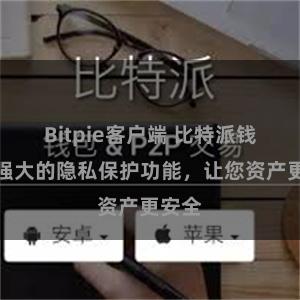 Bitpie客户端 比特派钱包：强大的隐私保护功能，让您资产更安全