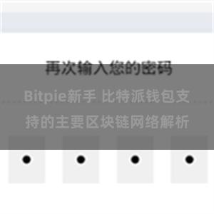 Bitpie新手 比特派钱包支持的主要区块链网络解析