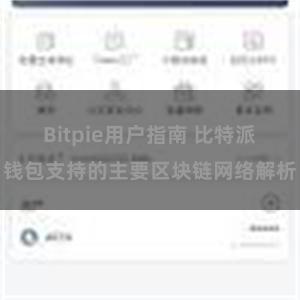 Bitpie用户指南 比特派钱包支持的主要区块链网络解析