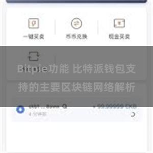 Bitpie功能 比特派钱包支持的主要区块链网络解析