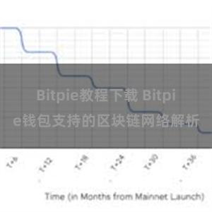 Bitpie教程下载 Bitpie钱包支持的区块链网络解析