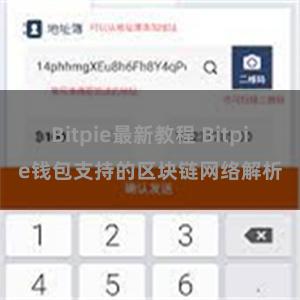 Bitpie最新教程 Bitpie钱包支持的区块链网络解析