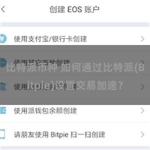 比特派币种 如何通过比特派(Bitpie)设置交易加速？