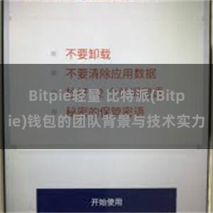 Bitpie轻量 比特派(Bitpie)钱包的团队背景与技术实力