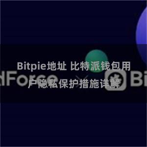 Bitpie地址 比特派钱包用户隐私保护措施详解