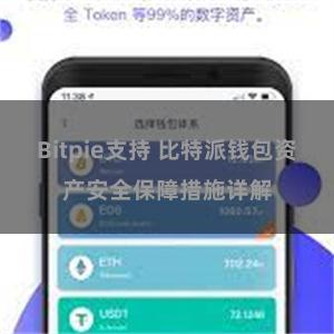 Bitpie支持 比特派钱包资产安全保障措施详解